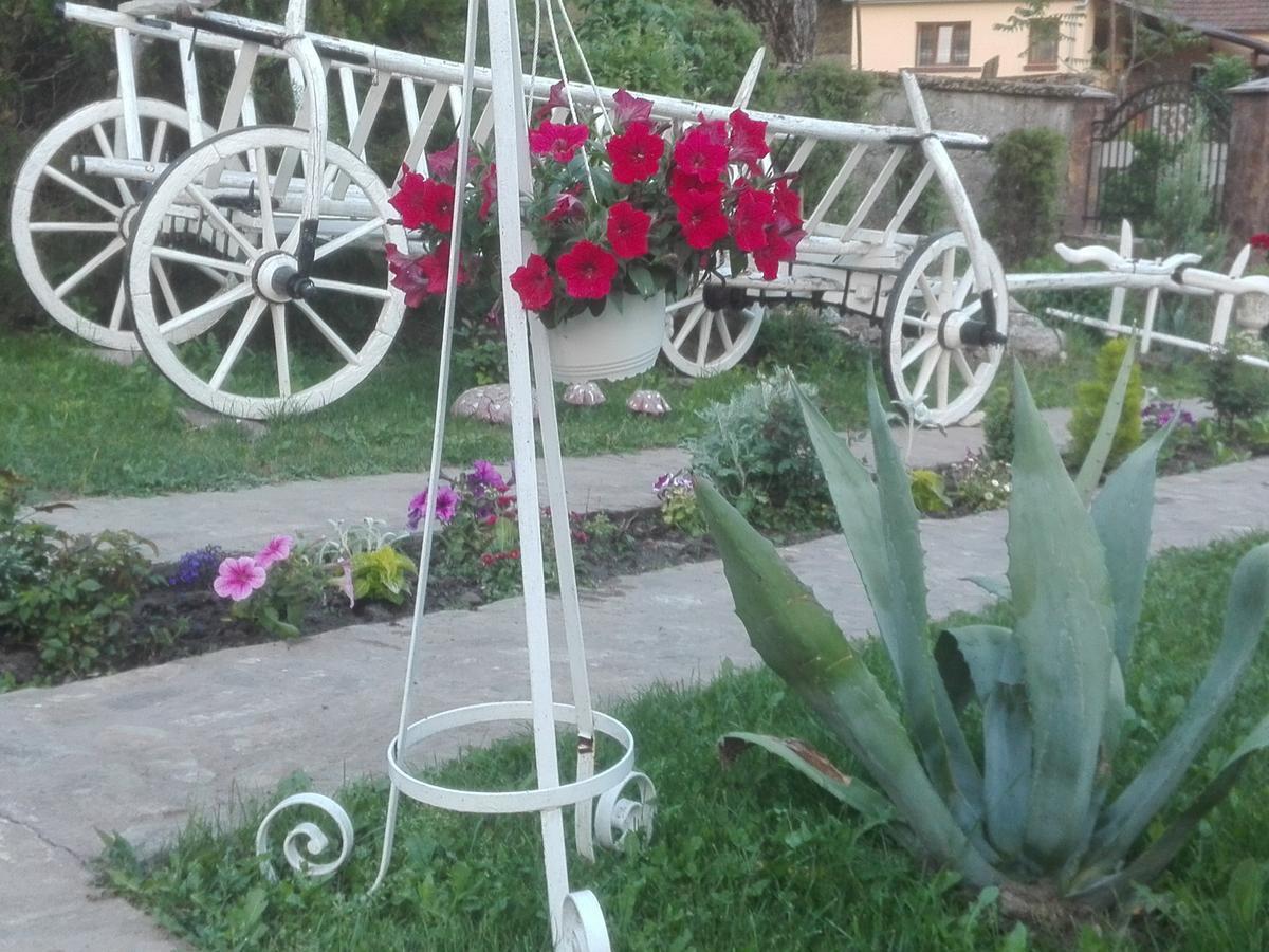 Casa De Vacanta Silvia Varmaga Luaran gambar